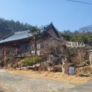 초당골한옥 이미지