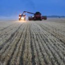 러시아, 기록적인 곡물 수출 예정 – 장관 이미지