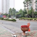 뜨란채2 네이버블로그
