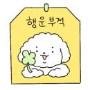 쏘카페 이미지
