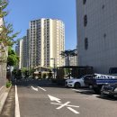 에프스포렉스 이미지