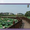 신화온수마루 이미지