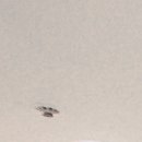 자연치아살리기 합정모아치과의원 이미지