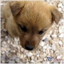 예밀농장 이미지