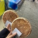 풍선다트 사격장 | 2025년도 남강유등축제 다녀온 썰 푼다.