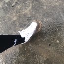 베이글치킨 이미지