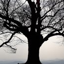 임천농장 이미지