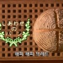 해피해피 브레드 이미지
