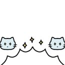 제주냐옹실 고양이미용 이미지