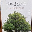 나무62