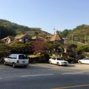 관광펜션 곰 이미지