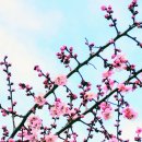 무학부동산 공인중개사사무소 이미지