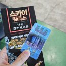 제주 스카이워터쇼 맞아? 솔직후기