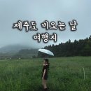 성산신천리(풍천초교) 3 | 비오는날 제주도 갈만한 곳 여름휴가 여행지