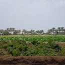 오만농장 이미지