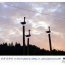 솟대 - 종로구 종로 336 | 솟대