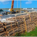 서해태양광발전소 이미지