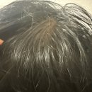 퓨어내추럴 | 지성두피에 딱 맞는 허브샴푸바 찾았다!디바스퓨어 내추럴 허브 포레스트 샴푸바 사용후기