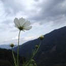 손영호농장 이미지