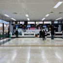 일본 여행 통신 완전 정리!! 로밍/eSIM/포켓 Wi-Fi, 최선의 선택은?