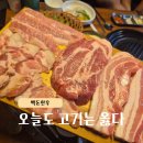 육감만족용인포곡점 | 용인 포곡 맥돈한우, 벌집껍데기부터 소주 무한리필까지 둔전 맛집 발견!