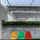 삼죽농장 이미지