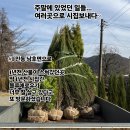 에코조경나무농원