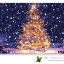 12월 25일 신입회원무료강습 및 크리스마스 파뤼~~^^ 이미지