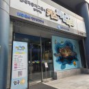마린파크 동물병원 | 📍 키즈마린파크 방문후기 (실내 바다 테마 체험관) 🐠🌊&amp;주차꿀팁