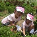 호진농장 이미지