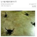 세븐틴 코인노래연습장 이미지