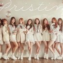프리스틴 - 관악구 | 프리스틴