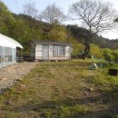 강림면335 이미지