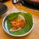 첨단지구 | [첨단2지구 맛집] 쭈마담 식사후기