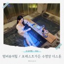제주 살레 | [제주여행] 돌아기랑 엠버퓨어힐 포레스트가든 수영장 더스톤 이용후기 내돈내산