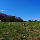 소사목장 이미지