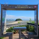 [투게더 여행코스] 대부도 선재도 봄나들이 가볼만한곳 1박2일 여행 코스 추천!영흥회센터 대부...