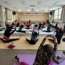 실버요가 이미지