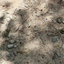 한성대역 6번출구 이미지