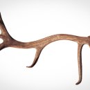 나비온한의원 이미지