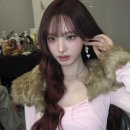 리즈컬러 이미지