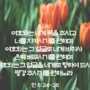 보라만물
