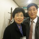 한일정 이미지