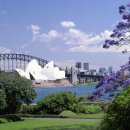 시드니 이미지