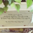 예쁜이미지/감성/눈물이미지/슬픈이미지/이쁜이미지/여인이미지/글귀이미지 이미지