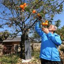 산청-산청-산청센터-01 이미지