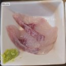 용인물회 세꼬시마을 용인 본점 점심 맛집 후기