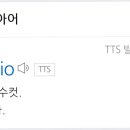 사르토리아마스티오