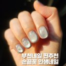 손끝의 예술, 셀프네일 | 부천네일 손끝꽃 자석젤 실버네일 자연광에서 더 예쁜 후기