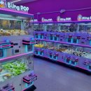 양파인형뽑기 이미지